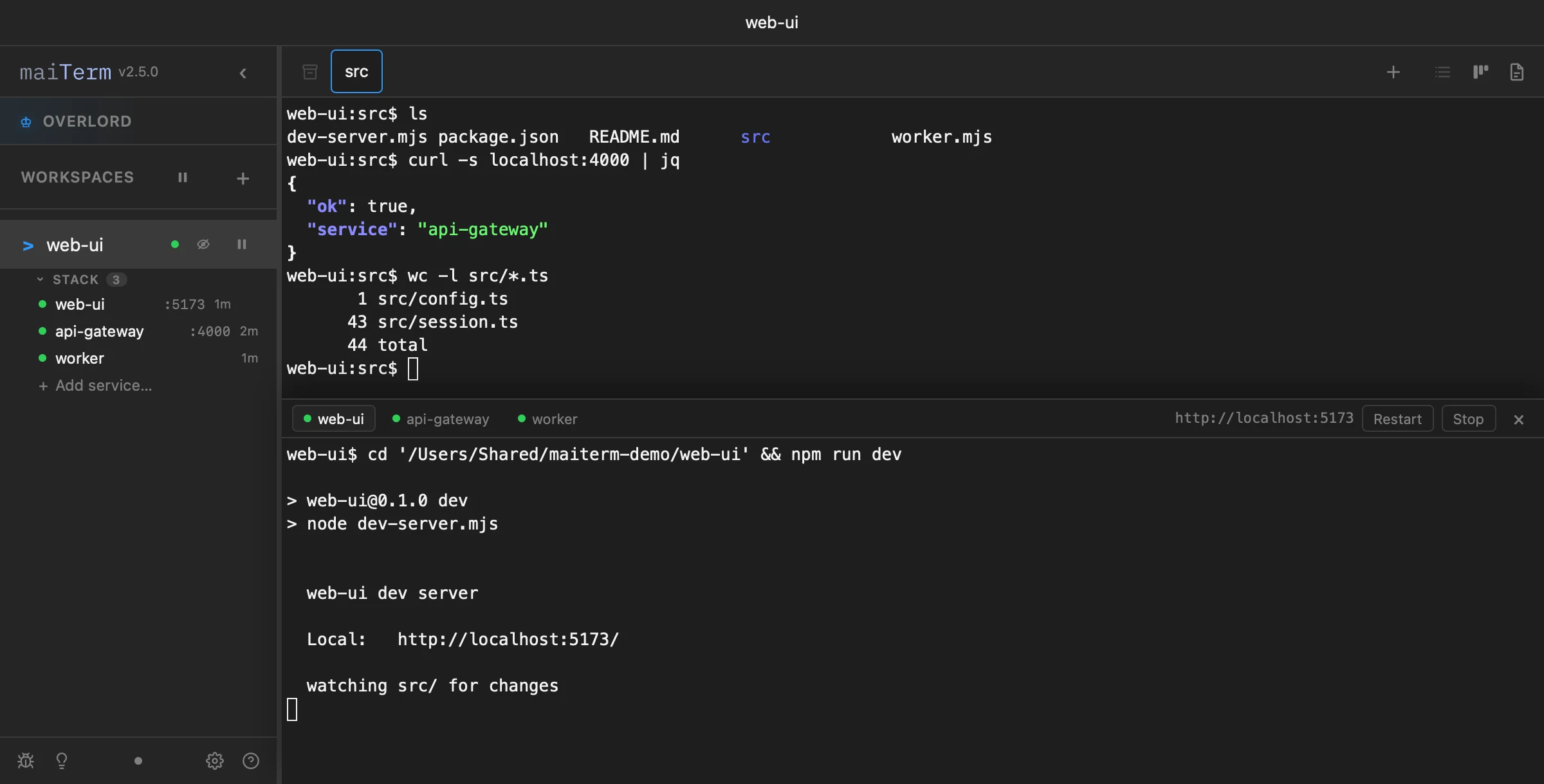 A maiTerm workspace running three services — web-ui on port 5173, api-gateway on 4000 and a worker — with one service's console open in a drawer over the terminal, showing the dev server's own line announcing its address